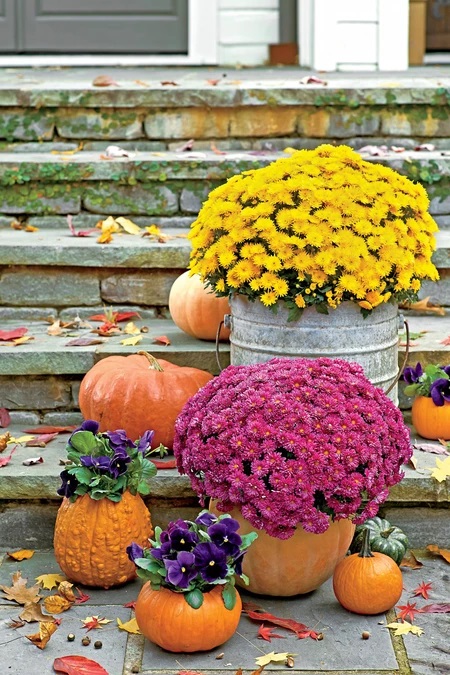 Outdoor Décor